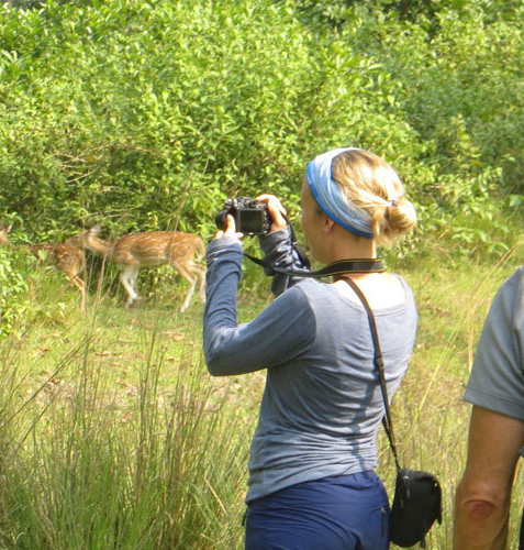 Jungle Safari In Nepal