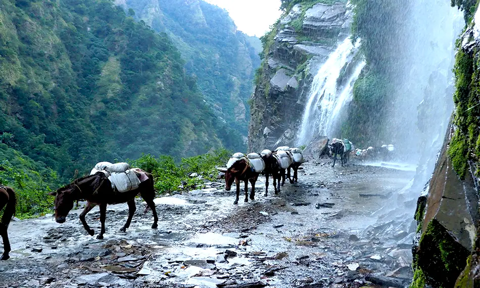 Annapurna Circuit Trek