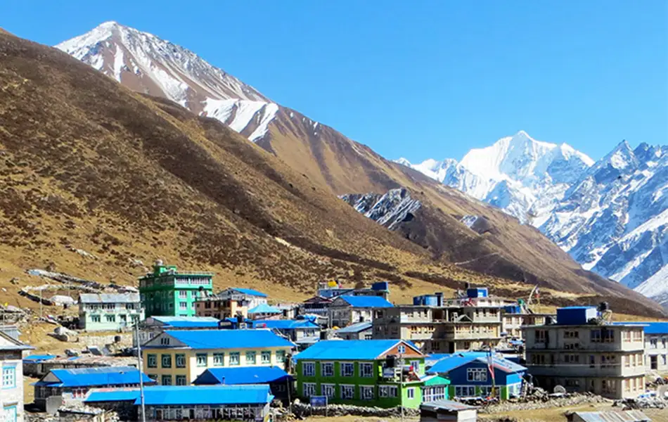 Langtang trek