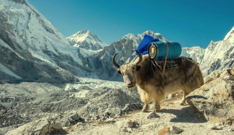 Everest Trek Becoming No Plastic Zone