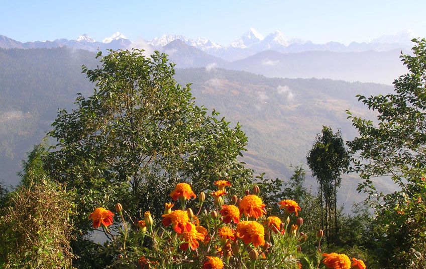 Yoga Trek Nepal