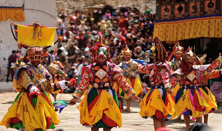 Tiji Festival Mustang